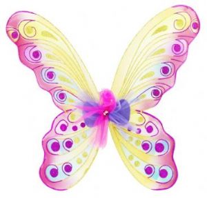 Carnival Wings  - Home Decor  - WI1449 - Cocomotion  